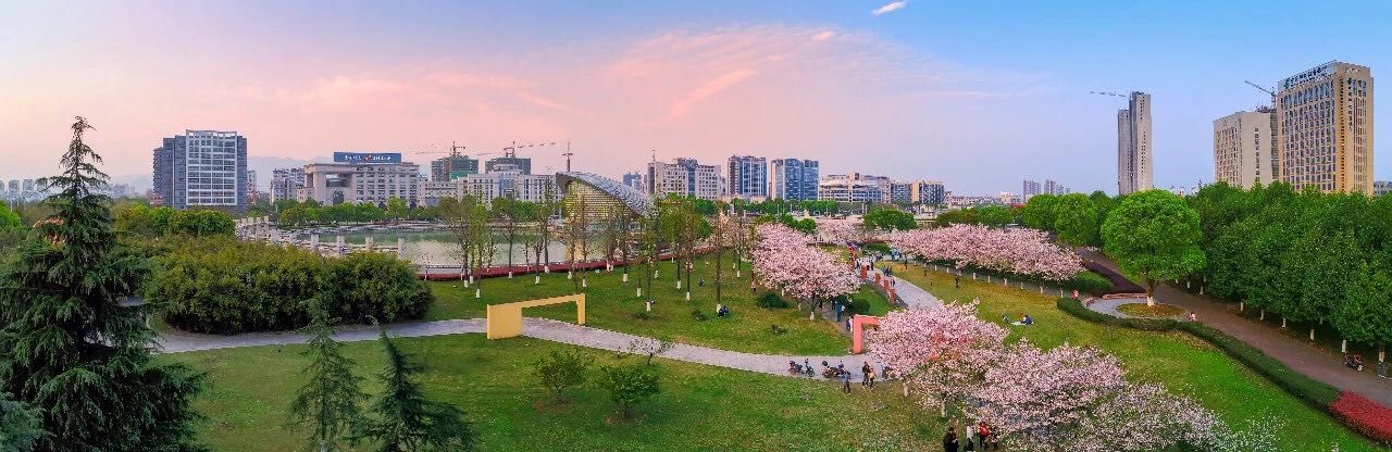 第三届金华发展大会,故乡的召唤