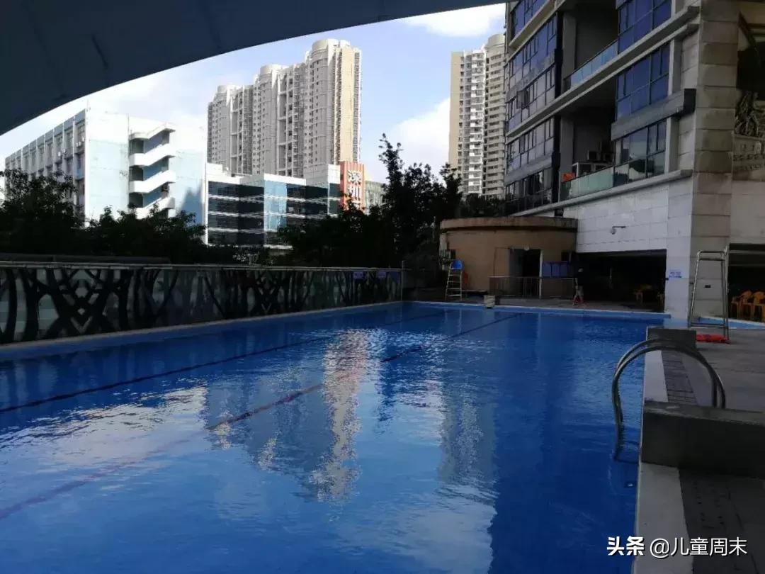 深圳游泳培训班哪家最好,深圳哪里有游泳培训班