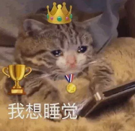 学美留学怎样,学美教育留学