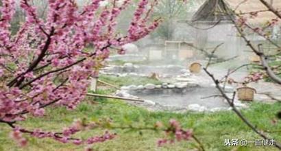 东汉女诗人,东汉末年女诗人