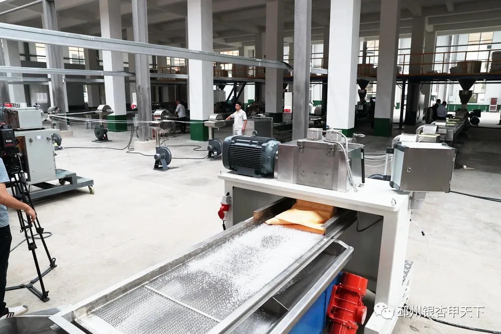 邳州重大项目建设最新情况,徐州重大项目开工仪式