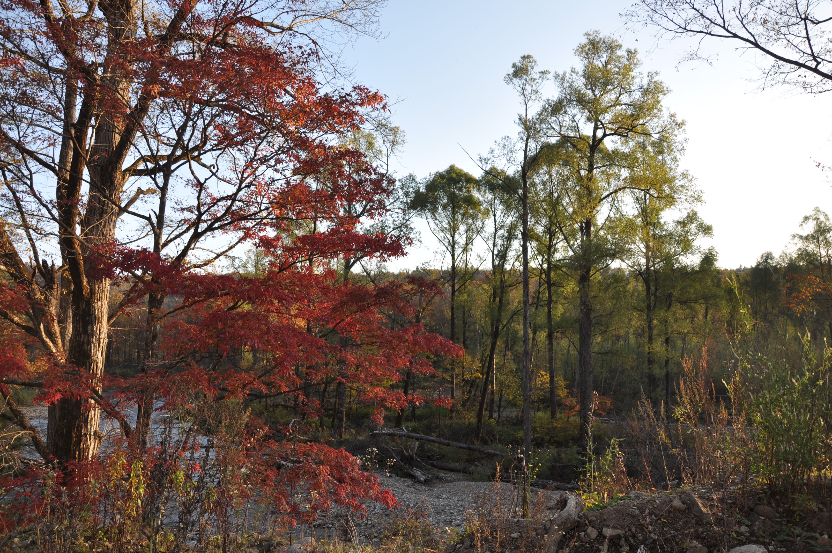 自驾西北旅行记,西北环线自驾旅行记录