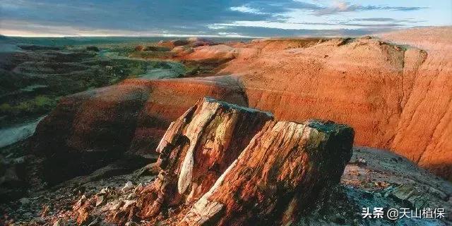 新疆的南疆图木舒克属于阿克苏吗,新疆图木舒克城市风景