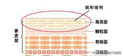 皮肤过敏和去角质有关吗,脸部过敏可以使用去角质啫喱吗