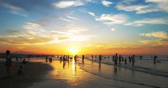 不去海边,不去海边哪里有贝壳