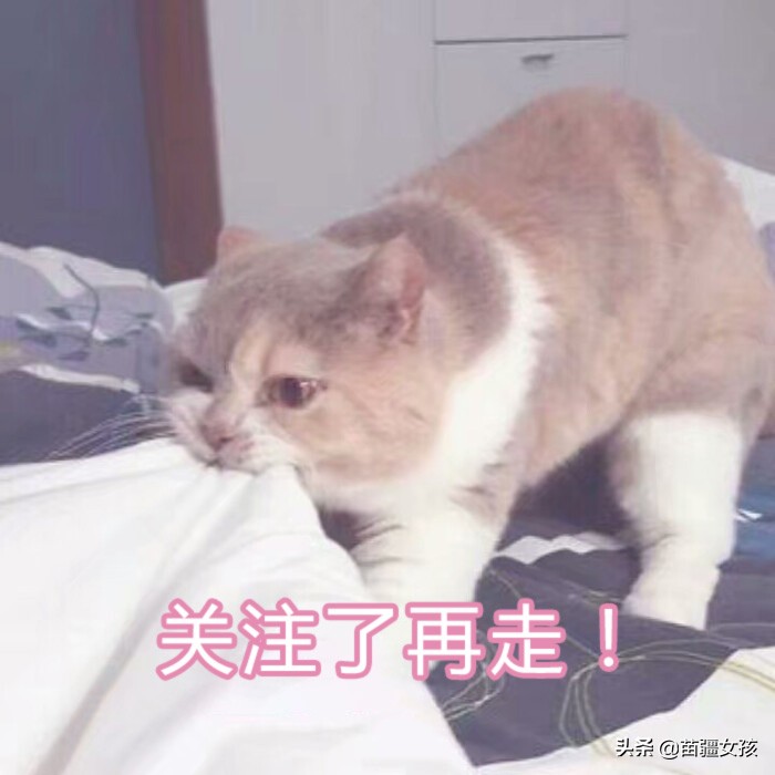 养生的境界就是陪伴,养生的境界