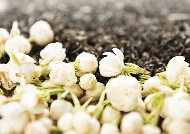 苏州的碧螺春,苏州碧螺春明前茶多少钱一斤