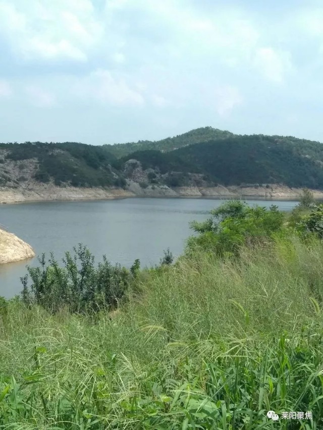 莱阳市御龙湾地址,莱阳御龙湾哪年开始建