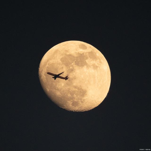 航空公司货物监管操作流程,航空货物仓储的注意事项有哪些