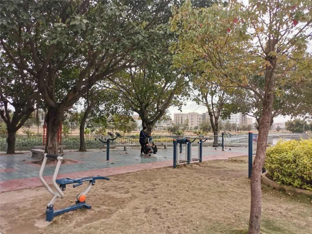 原平乡村振兴督导组,乡村振兴局开展乡村振兴工作督导