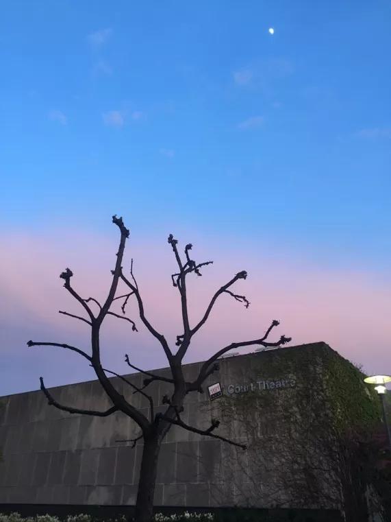 芝大芝加哥大学,芝大相当于国内什么档次大学