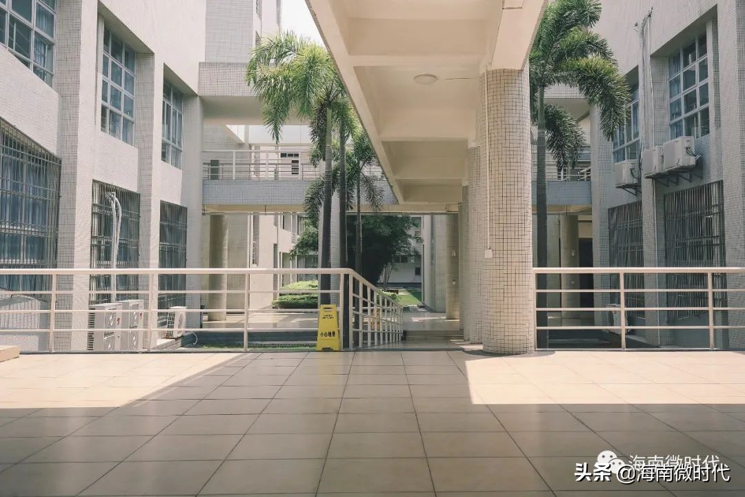 海南大学的回忆,海南大学青春的样子