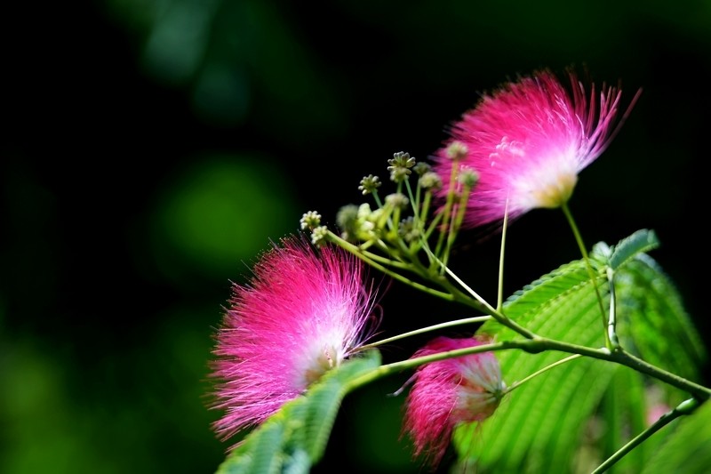 如何防止身边人嫉妒你,被人嫉妒了害你怎么办