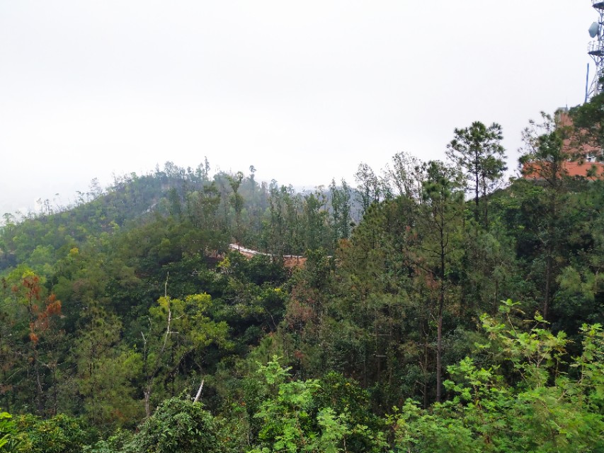 周日跟随珠海户外网板樟山游记