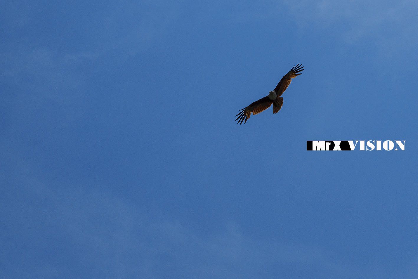 老相机和新相机画质,老相机佳能