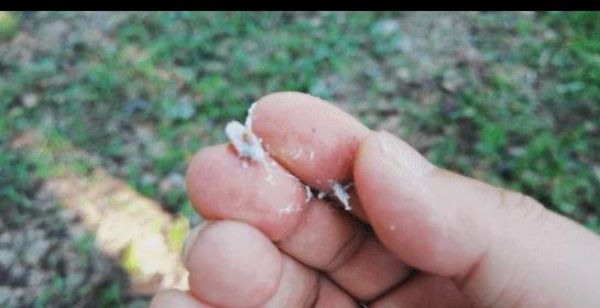 SAWALI我们的品牌我们的情怀