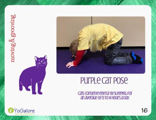 卡尔和爷爷,瑜伽卡和健身卡哪个好