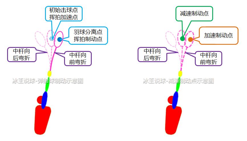 羽毛球挥拍十大技巧,羽毛球挥拍技巧以及注意事项全文