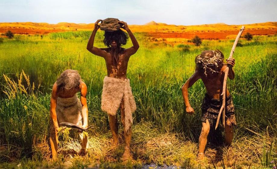 为什么动物都不用吃盐人不吃盐,野生动物没吃盐怎么回事