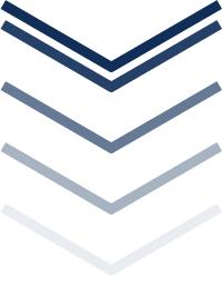 南湖湿地公园趣味运动会,元旦南湖有什么活动