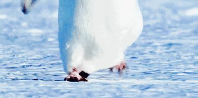 冬天戴表,什么季节适合戴表