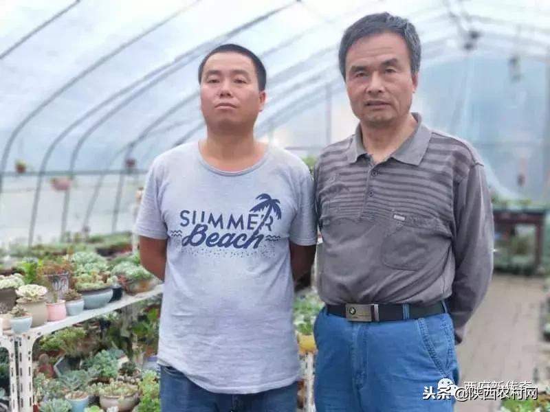 “老吴寻访西府奇人”：一片绿叶创大业