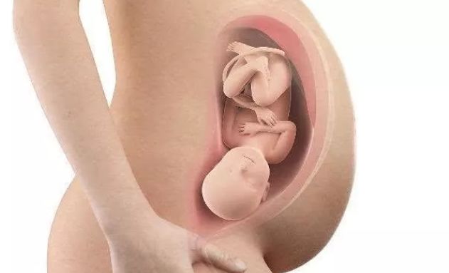 临产头入盆不是很好,胎儿入盆时为什么头部会乖乖朝下