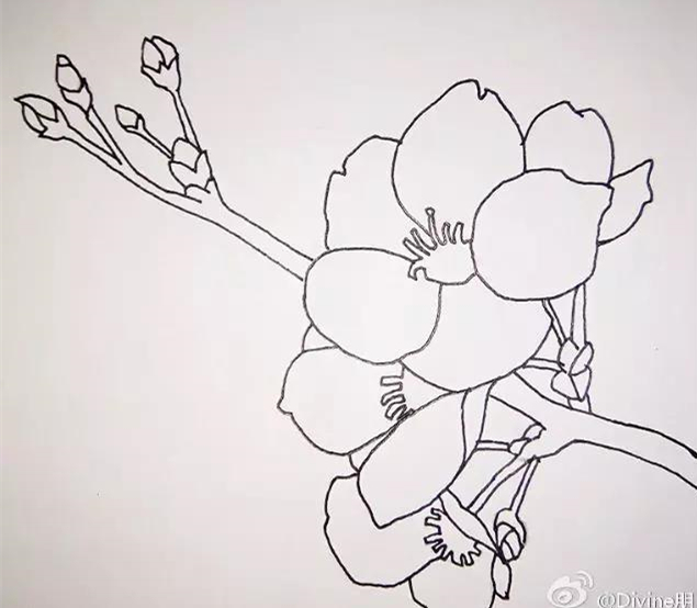 桃花简笔画：一步一步教你画桃花的教程，简单又好看，你想学吗？