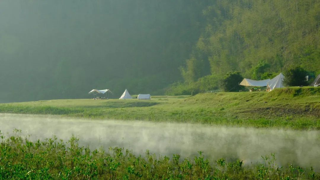 人类森林露营,人类高质量游览