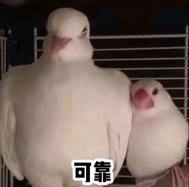 美白、刷酸都解决不了的皮肤问题，只能这么做了