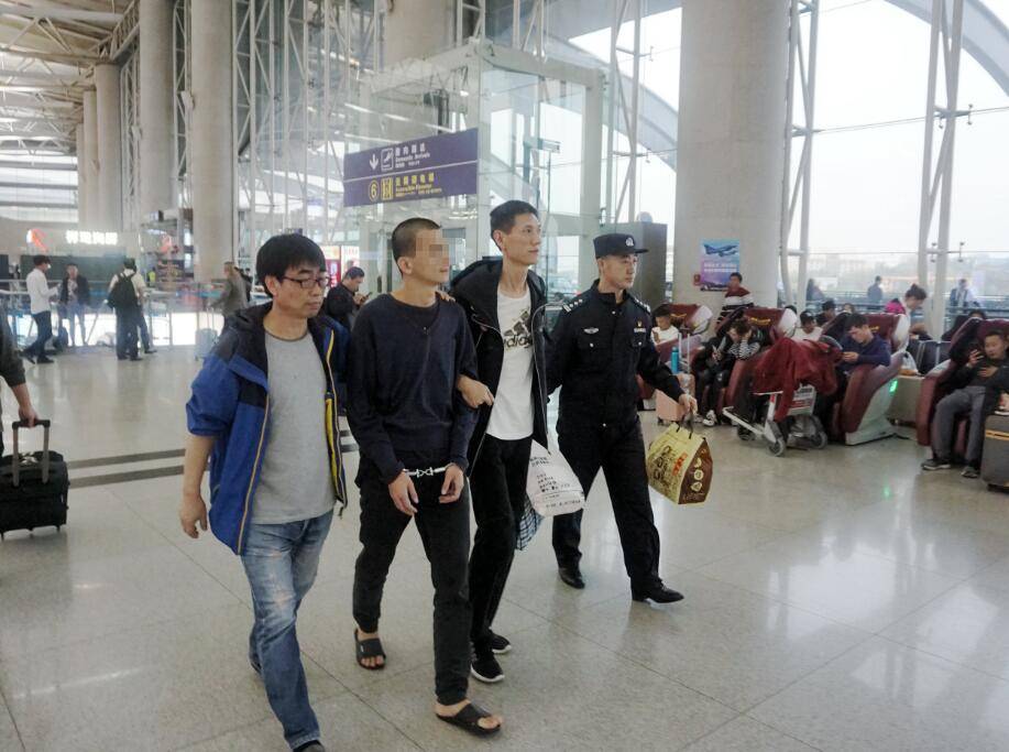 虚假理财投资类诈骗,虚假投资诈骗最新消息