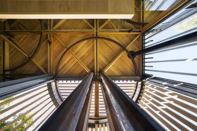 真正的森林树屋,这些树屋满足你对森林的所有幻想