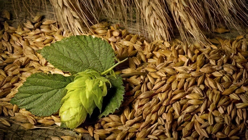 《柯南》里都用过哪些酒给人物命名？