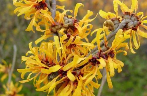 看你的小胡子这么可爱，一定是个男孩纸