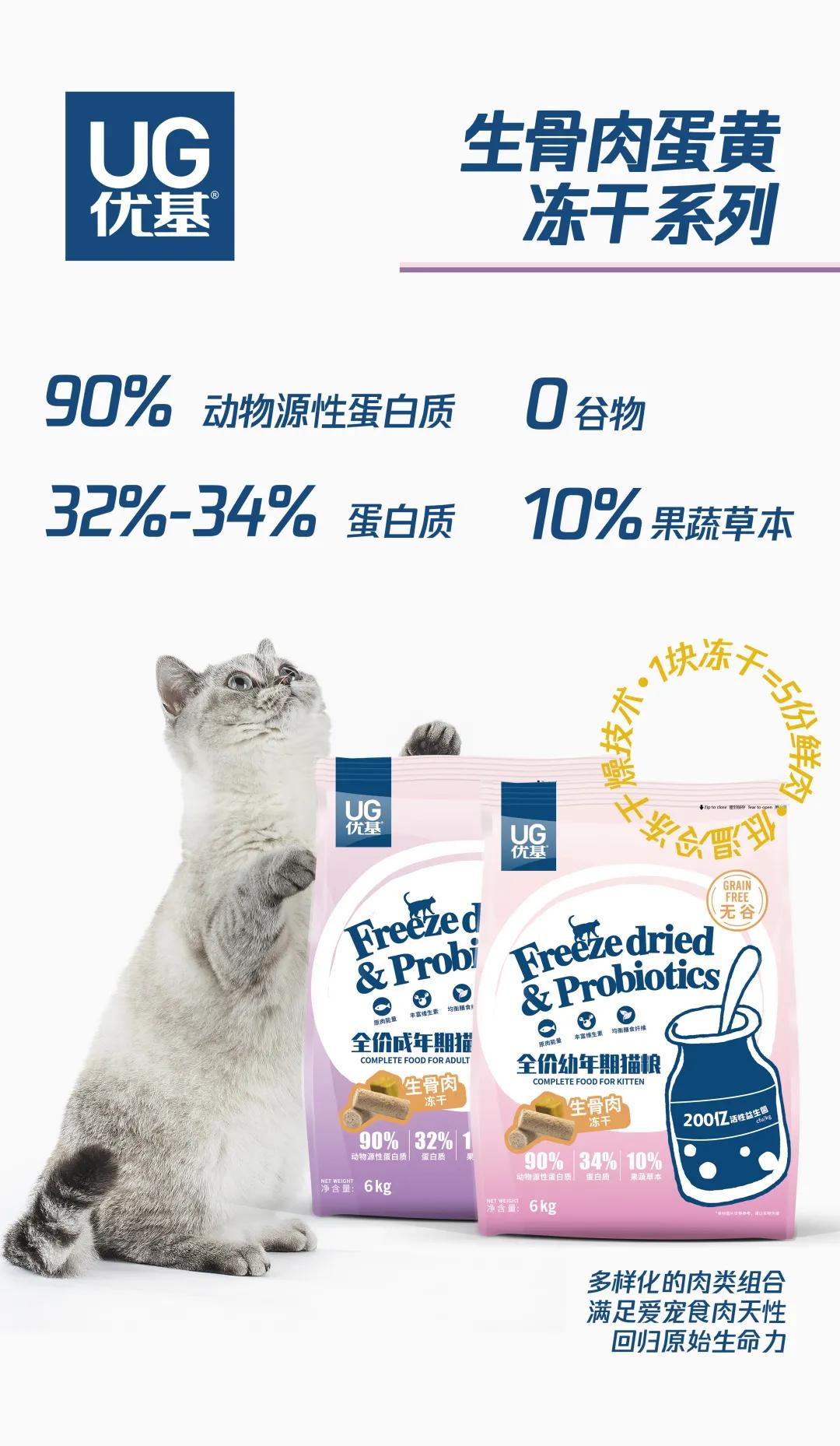 不办狗证狗被抓,不办狗证的狗被抓走会怎样