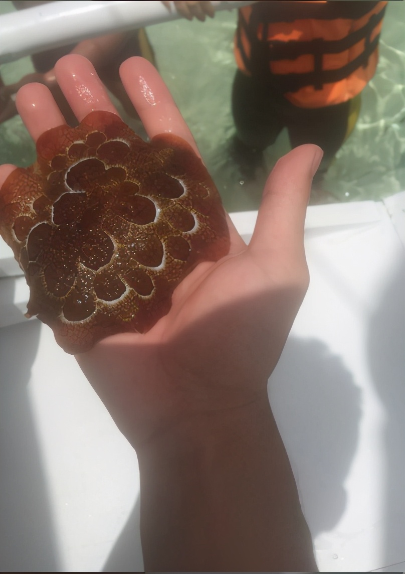 菲律宾自由行旅游攻略地图,菲律宾10天深度游