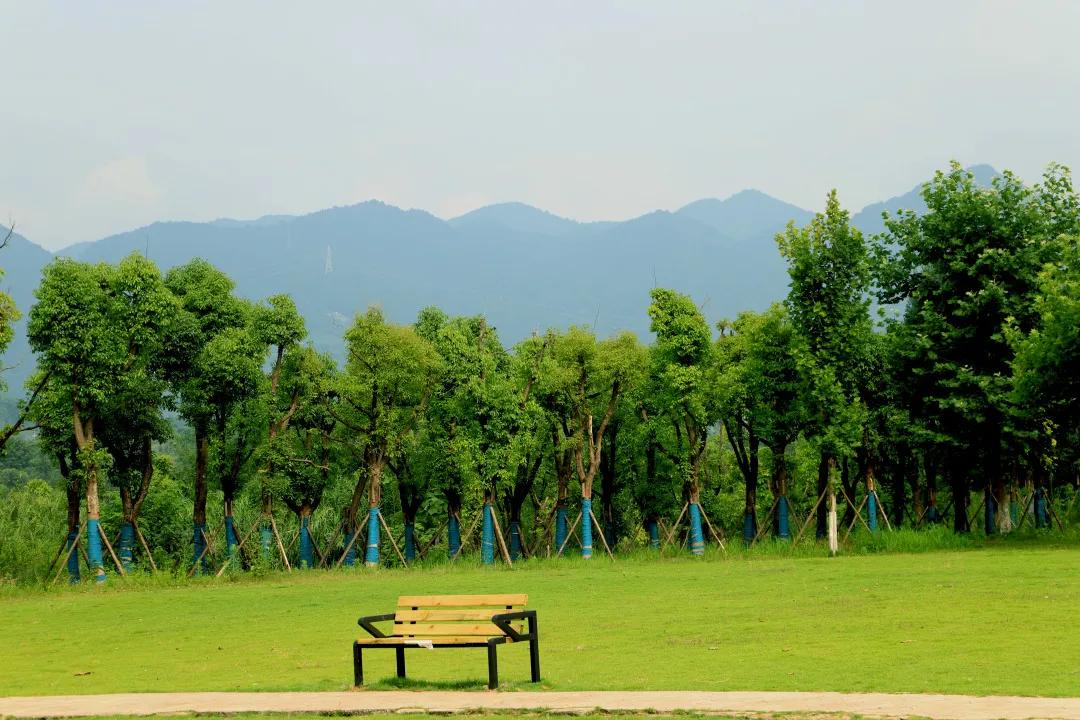 搞快点是哪里方言,搞快点