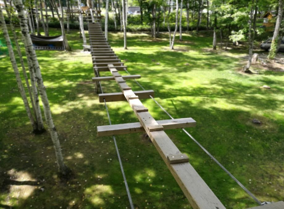 什么时候去日本旅游最合适,什么时间去日本机票便宜