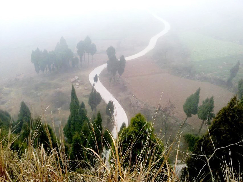 一个叫木头一个叫马尾民谣现场,一个叫木头一个叫马尾有什么含义