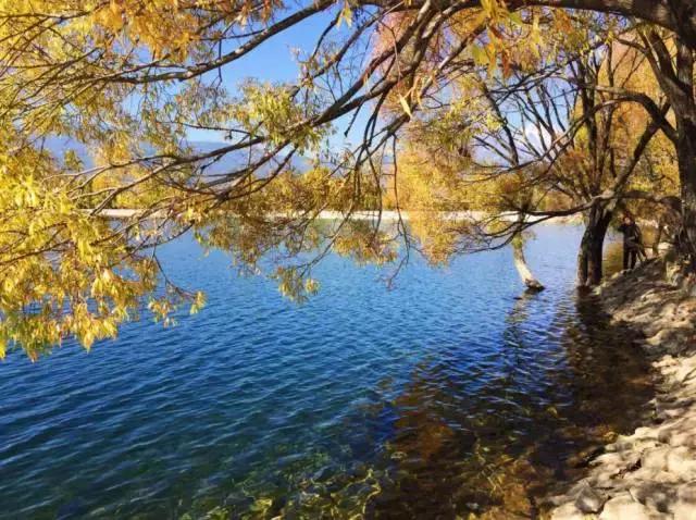 云南丽江旅游攻略自由行路线,昆明大理丽江西双版纳自由行攻略