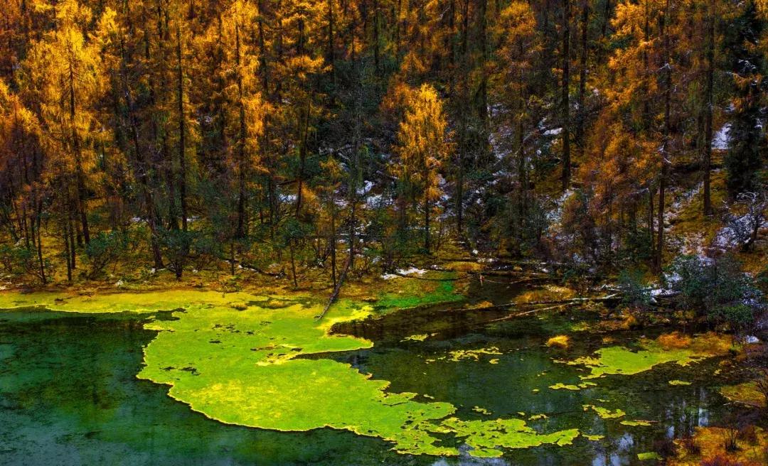 10月旅行地推荐最适合初秋出游,10月最适合慢慢旅游的地方