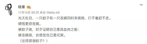 章宇从小黄毛到准影帝,章宇有获得影帝吗