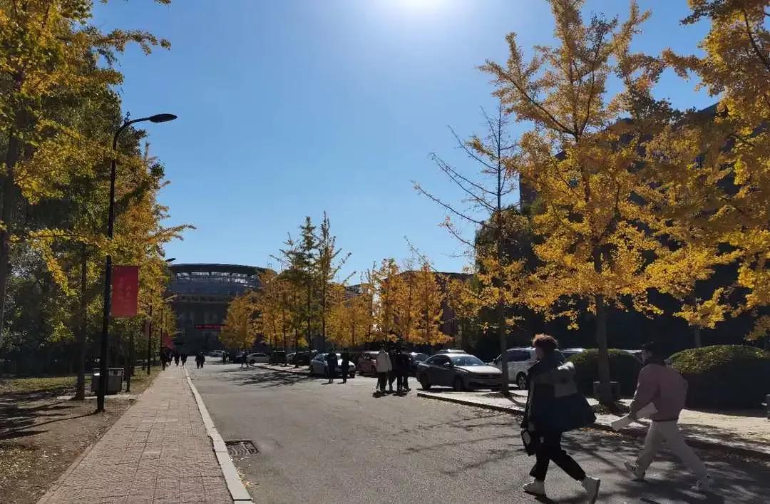 辽宁省普通高等院校,辽宁省沈阳本科大学