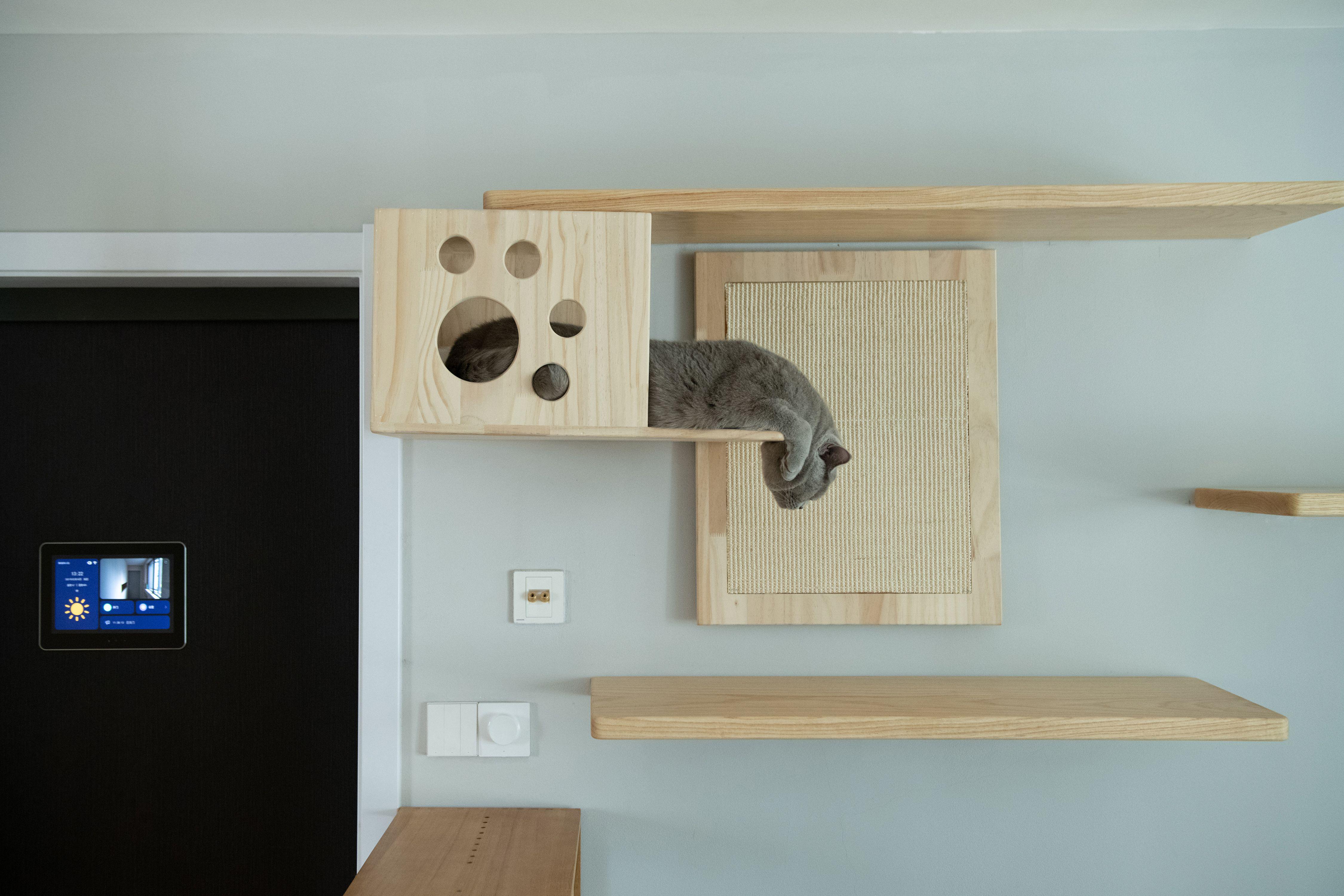 打造人宠共乐的家—“铲S官”的装修笔记