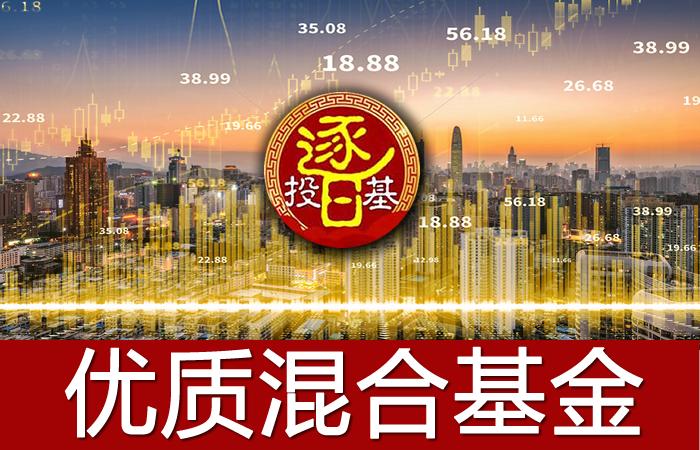 收益最稳偏债型混合基金,混合基金偏股型基金长期收益