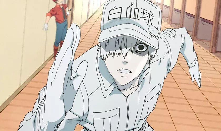 一篇文章教你读懂体检表上的血常规，超实用的血液常识来啦