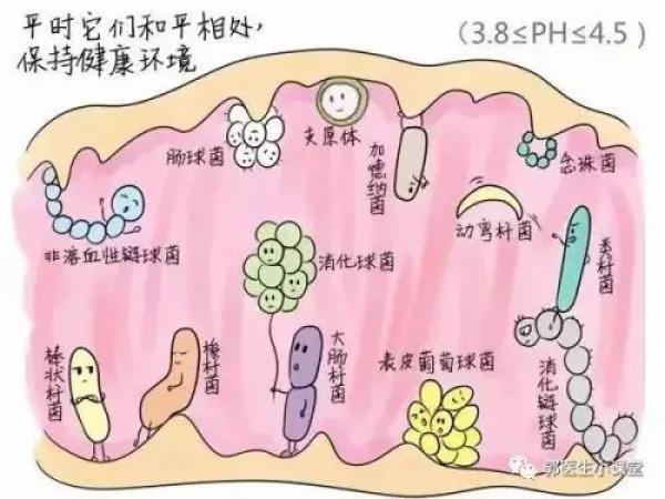 遭遇难“炎”之隐，很多女性居然选择这样做……