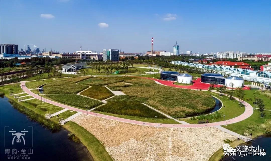 金山大金山岛开发,金山沙滩填海项目