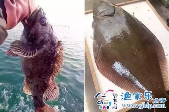 长岛旅游攻略长岛住宿推荐,端午游玩烟台