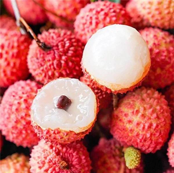 广西有哪些城市以前属于广东的,广西是荔枝之乡吗